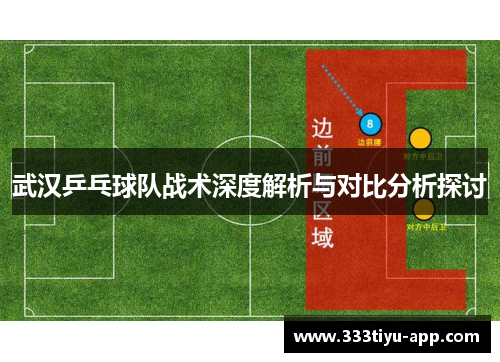 武汉乒乓球队战术深度解析与对比分析探讨